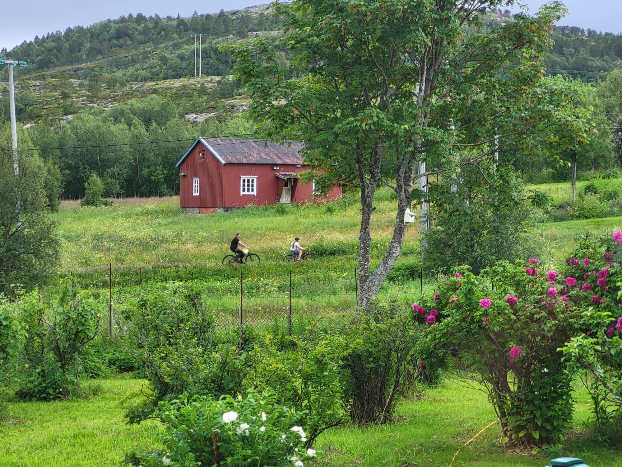 Paul'S House Βίλα Saltstraumen Εξωτερικό φωτογραφία